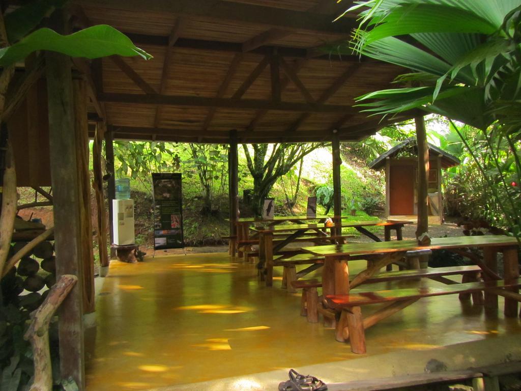 Hotel El Chontal Rincón Esterno foto